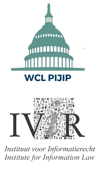 PIJIP and IVIR Logos
