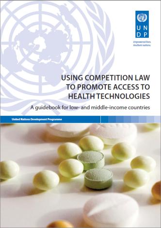 Cover of UNDP report