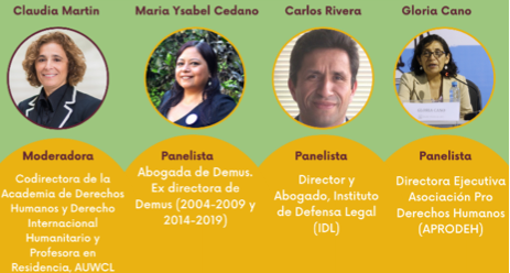 Panel I: SGBV in Peru