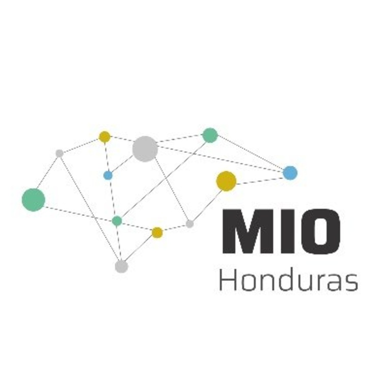 Professor Claudia Martin's participation the International Mission of Observation in Honduras during 2023