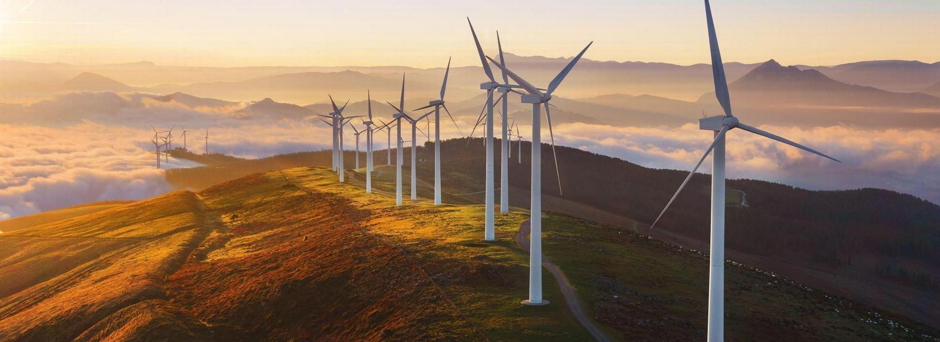 Environmental and Energy Law - Areas Of Study