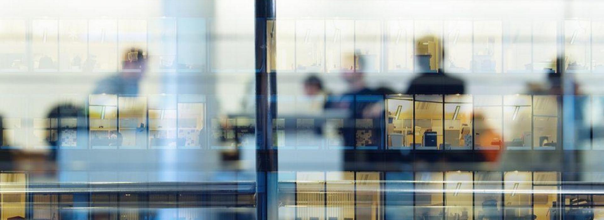 Labor and Employment Law Society