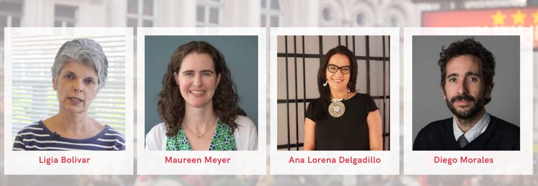 Speakers for Ensuring Effective Protection of women's rights