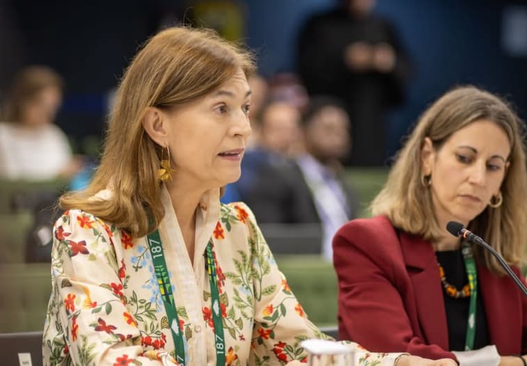 Viviana Krsticevic, Directora Ejecutiva del Centro para Justicia y Derecho Internacional