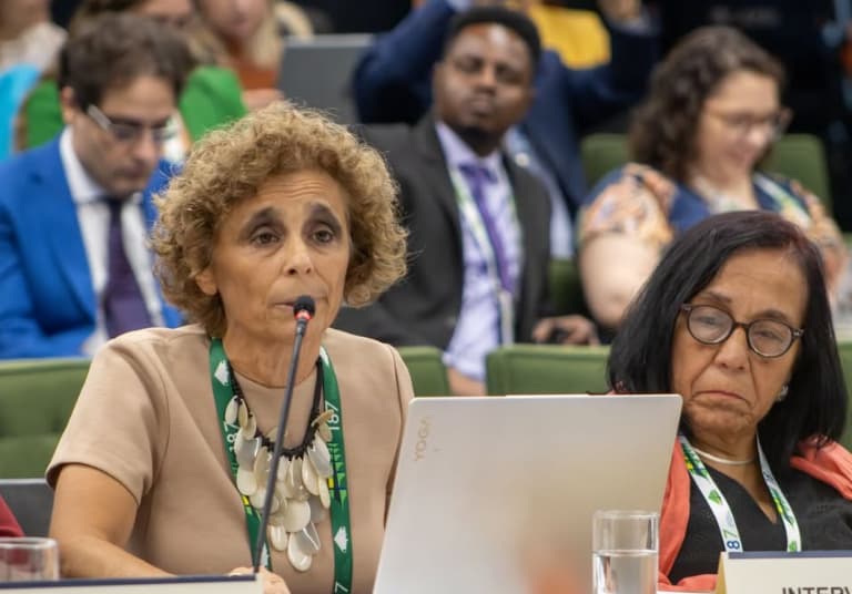 Claudia Martin, Co-directora de la Academy de Derechos Humanos en AUWCL