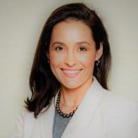 Saxon Knight Saxon Knight