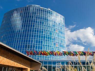 Image Caption Image Caption